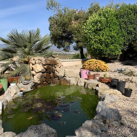 Apartamento Entero Con Vistas Panoramicas Avinyonet del Penedes Exterior foto